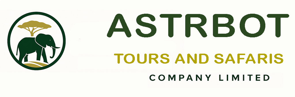 ASTROBOT TOURS logo